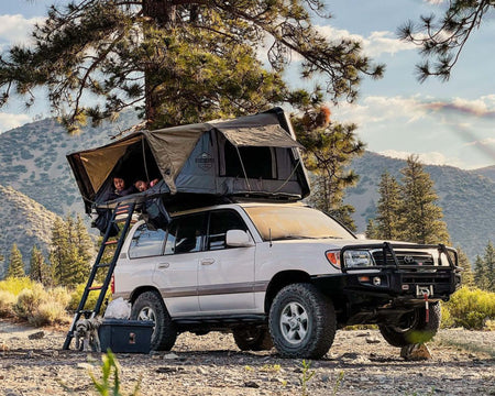 OVS HD Bushveld 4-Person Hard Shell Roof Top Tent